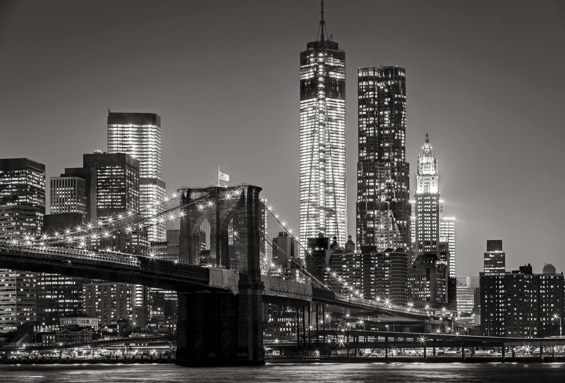 Brooklyn Bridge and the Manhattan financial district skyline at night